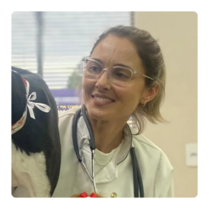 Telemedicina – Consulta Online – Diviane Estela Menegatti